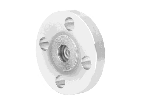 All welded flanged diaphragm seal with internal diaphragm model DFE EN