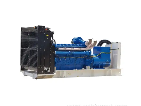 1000kVA Diesel Generator Powered by Perkins